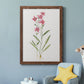 Delicate Pink II - Barnwood Framed Canvas Print