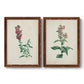 Set of two maple barnwood framed canvas prints featuring two vintage botanical studies of flowering stems with detailed green leaves on aged cream paper.