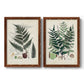 Set of two maple barnwood framed canvas prints featuring two natural-history fern plates featuring vintage fern specimens with botanical details.