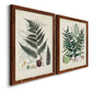 Angled view of a set of two maple barnwood framed canvas prints featuring two natural-history fern plates featuring vintage fern specimens with botanical details.