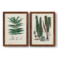 Set of two maple barnwood framed canvas prints featuring two natural-history fern plates featuring vintage fern specimens with botanical details.