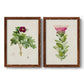 Set of two maple barnwood framed canvas prints featuring two vintage botanical plate illustrations featuring pink flowering plant specimens.