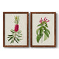 Set of two maple barnwood framed canvas prints featuring two vintage botanical plate illustrations featuring pink flowering plant specimens.