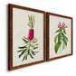 Angled view of a set of two maple barnwood framed canvas prints featuring two vintage botanical plate illustrations featuring pink flowering plant specimens.