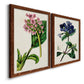 Angled view of a set of two maple barnwood framed canvas prints featuring two antique botanical plate illustrations featuring colorful flowering plant specimens.