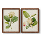 Set of two maple barnwood framed canvas prints featuring two traditional botanical paintings featuring white magnolia blossoms and glossy green leaves.