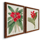 Angled view of a set of two maple barnwood framed canvas prints featuring two antique botanical plate illustrations featuring vivid tropical flowering plants.