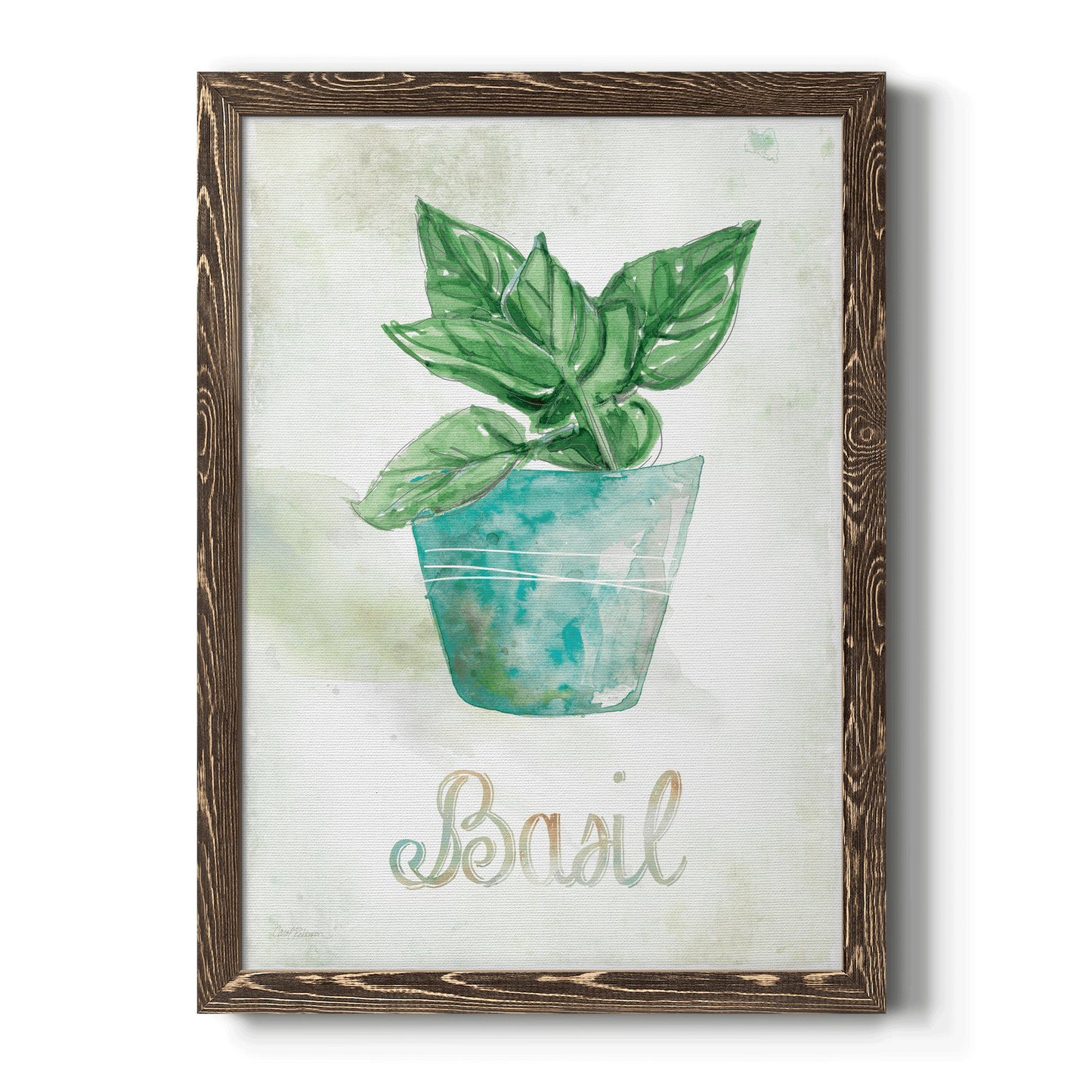 Potted Basil - Barnwood Framed Canvas Print