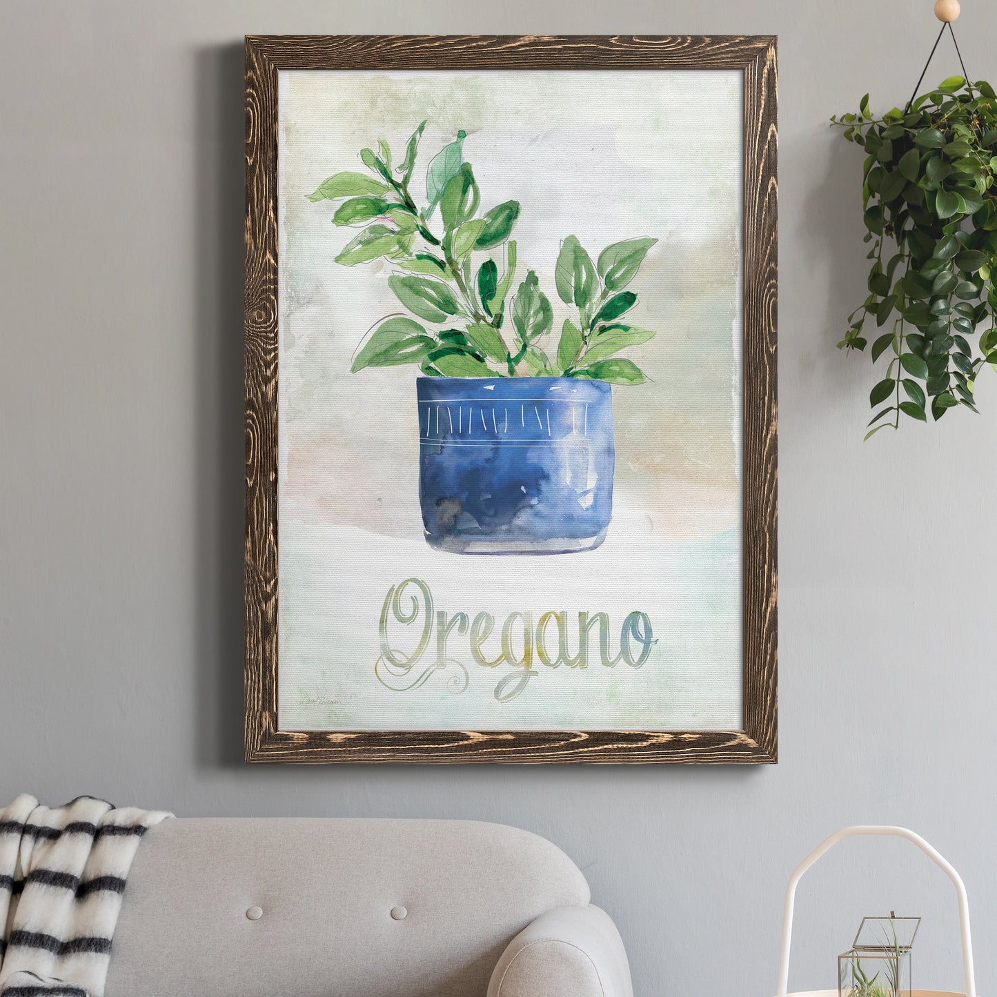 Potted Oregano - Barnwood Framed Canvas Print