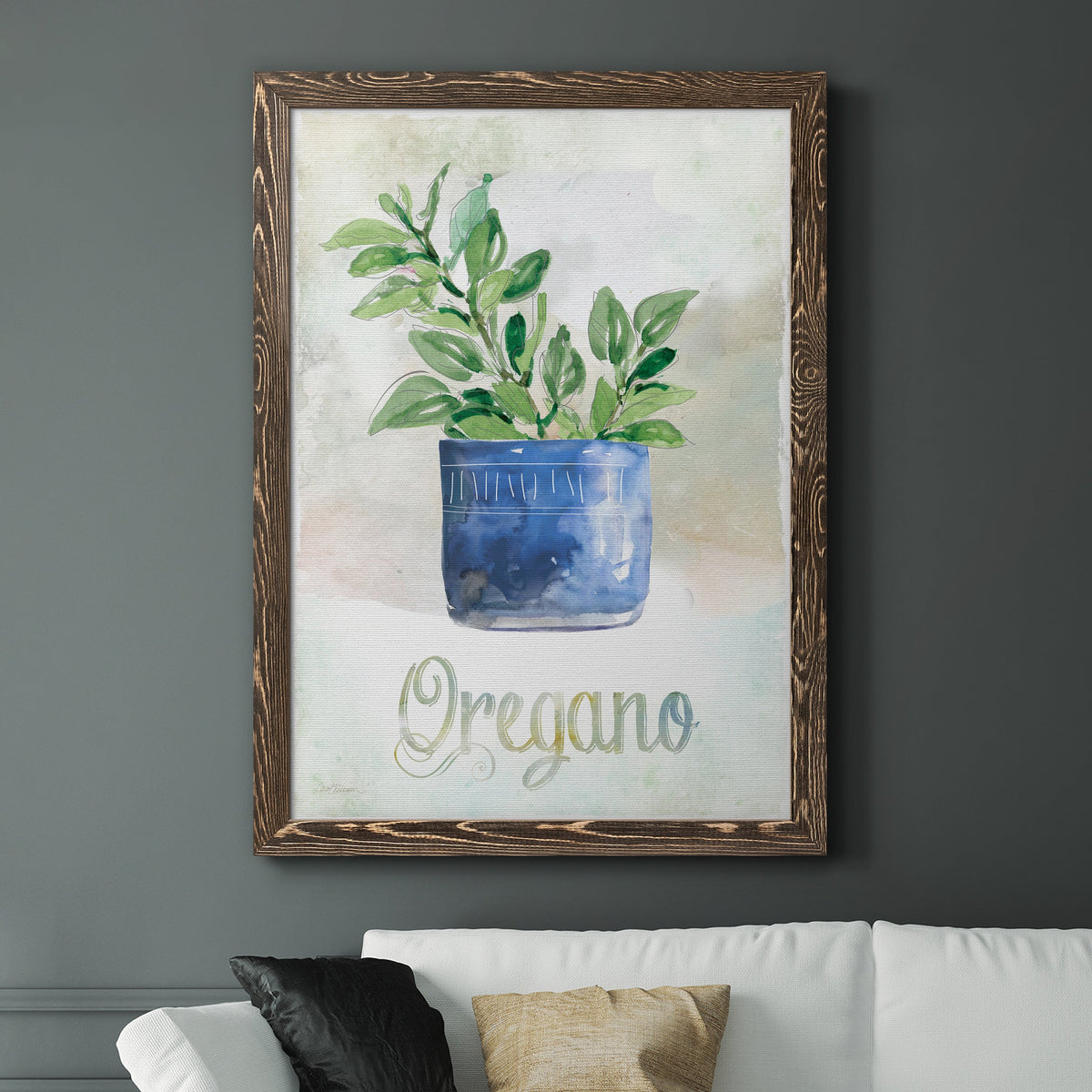 Potted Oregano - Barnwood Framed Canvas Print