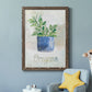 Potted Oregano - Barnwood Framed Canvas Print