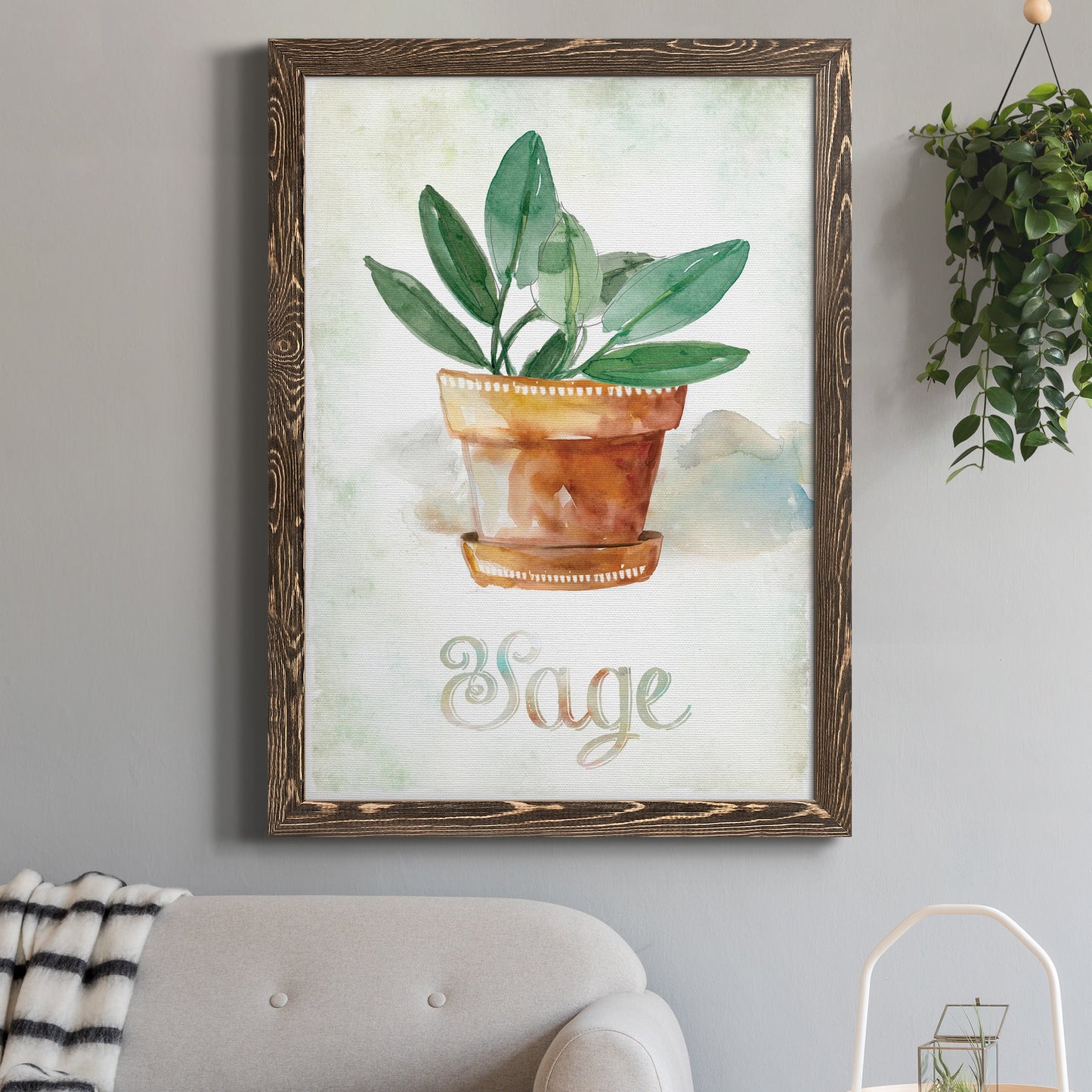 Potted Sage - Barnwood Framed Canvas Print