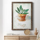 Potted Sage - Barnwood Framed Canvas Print