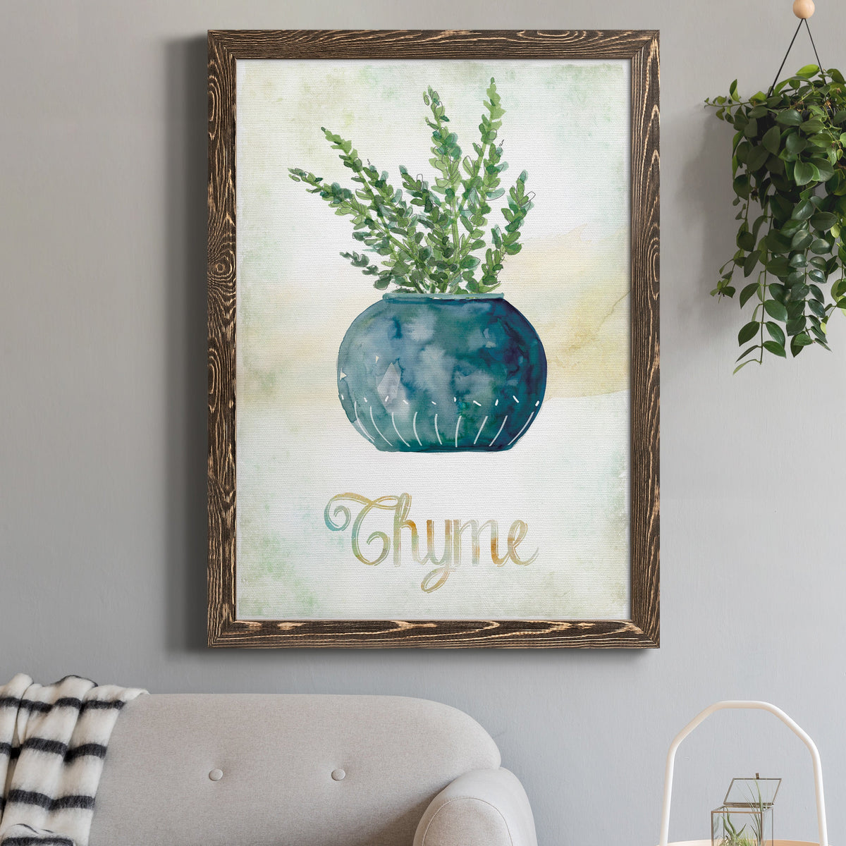 Potted Thyme - Barnwood Framed Canvas Print