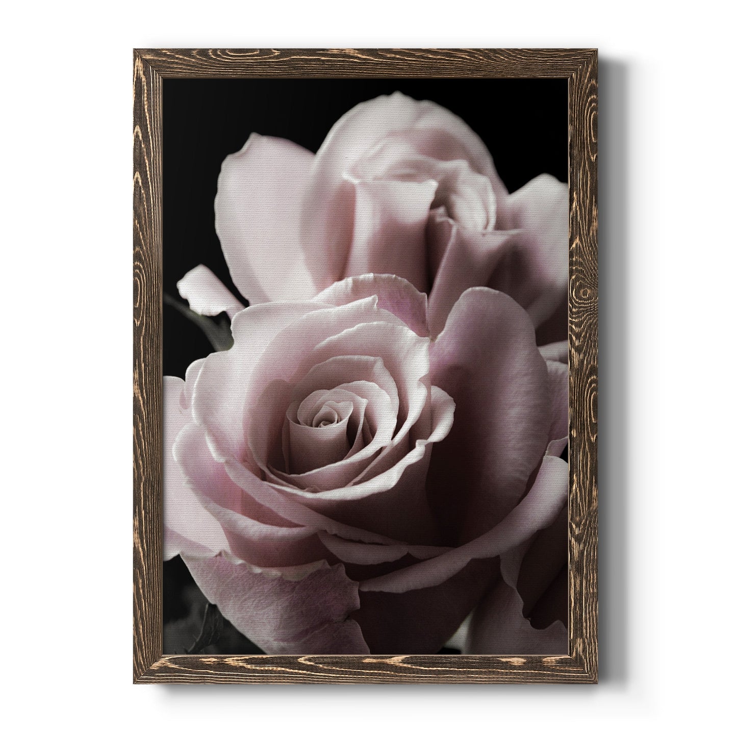 Rose Noir II - Barnwood Framed Canvas Print