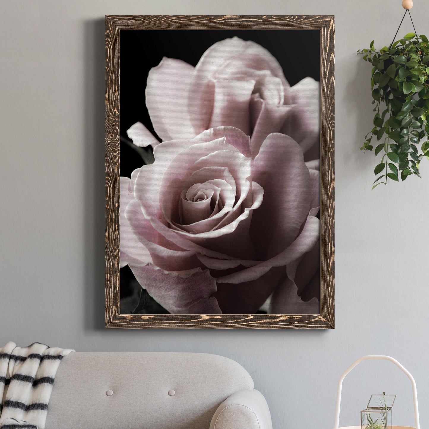 Rose Noir II - Barnwood Framed Canvas Print