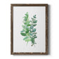 Eucalyptus II - Barnwood Framed Canvas Print