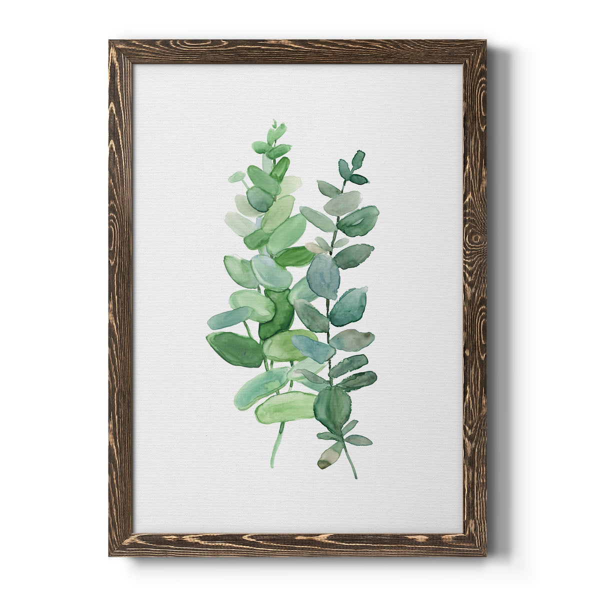 Eucalyptus II - Barnwood Framed Canvas Print