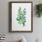 Eucalyptus II - Barnwood Framed Canvas Print