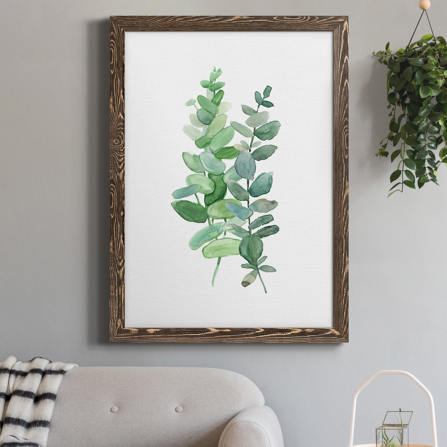 Eucalyptus II - Barnwood Framed Canvas Print