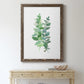 Eucalyptus II - Barnwood Framed Canvas Print