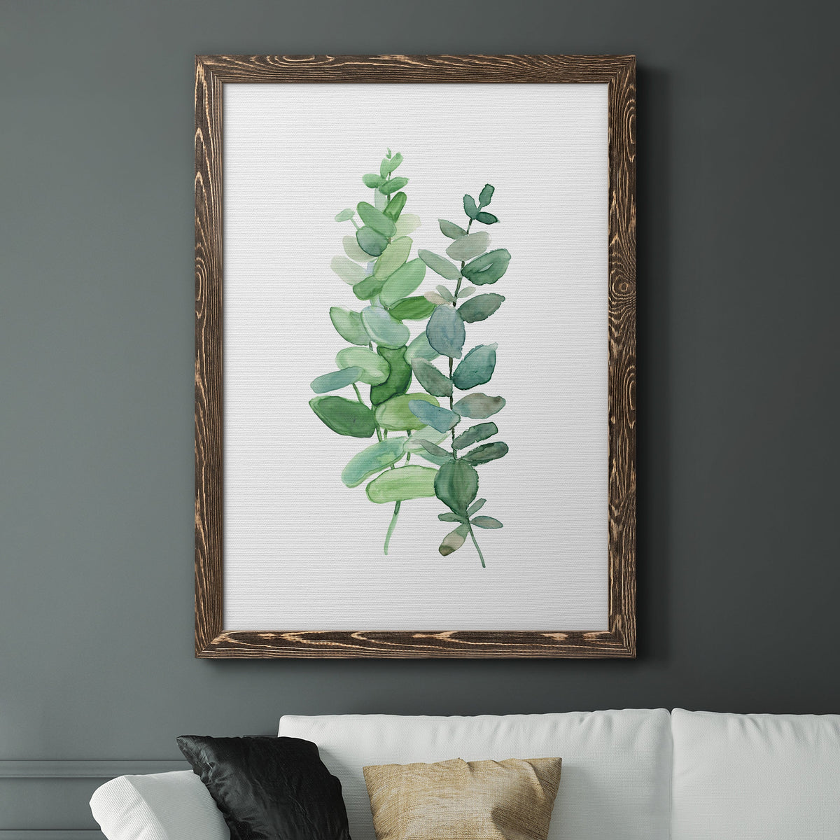 Eucalyptus II - Barnwood Framed Canvas Print