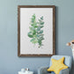 Eucalyptus II - Barnwood Framed Canvas Print
