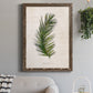 Palm Botanical II - Barnwood Framed Canvas Print