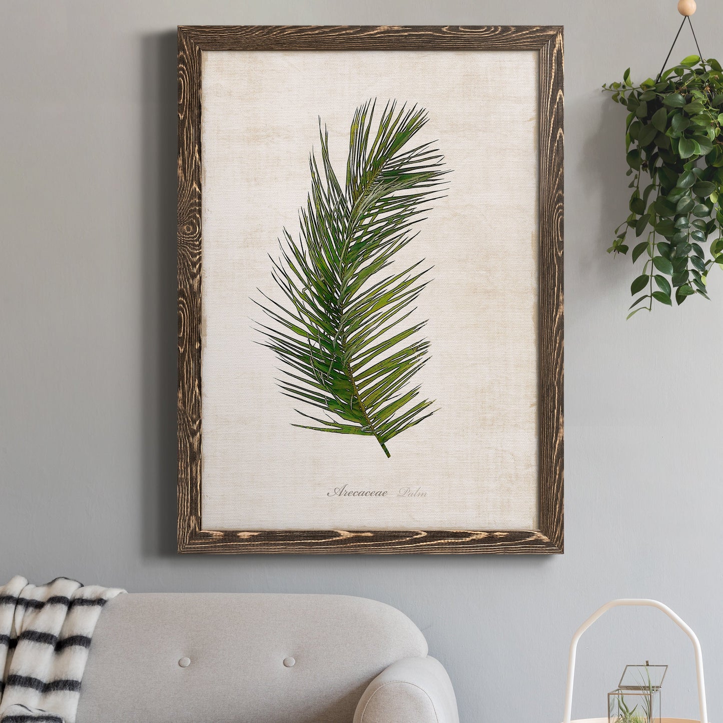 Palm Botanical II - Barnwood Framed Canvas Print