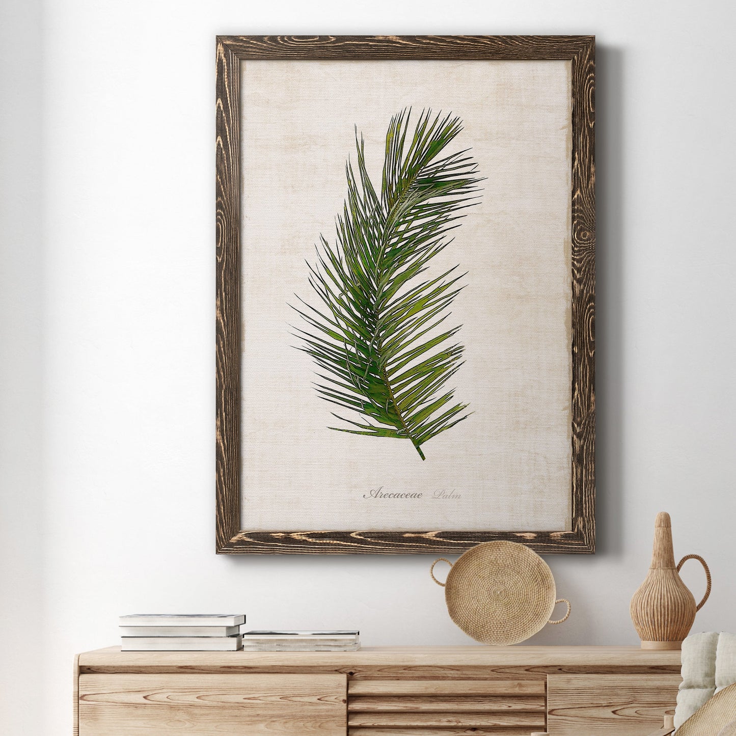 Palm Botanical II - Barnwood Framed Canvas Print