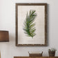 Palm Botanical II - Barnwood Framed Canvas Print