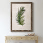 Palm Botanical II - Barnwood Framed Canvas Print