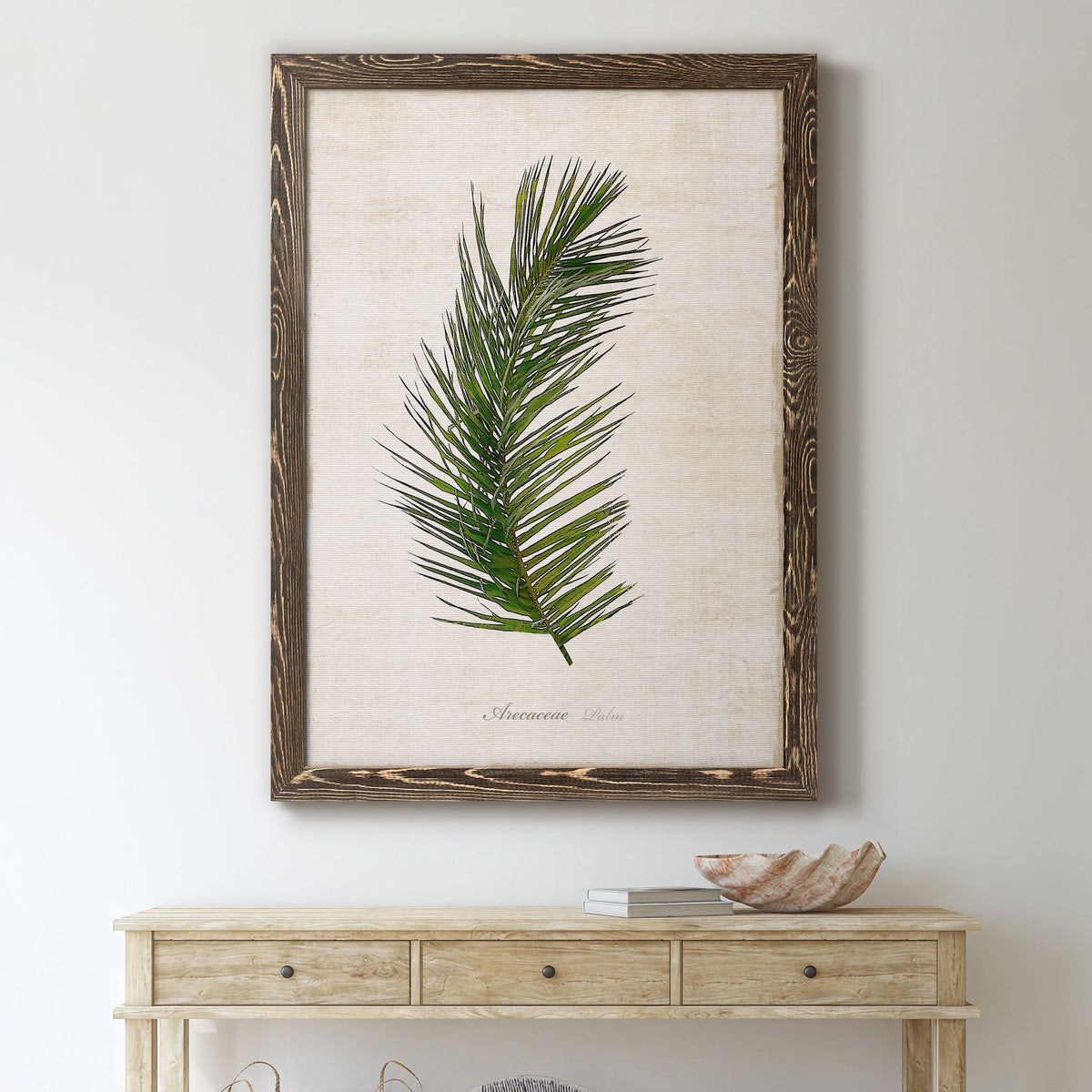 Palm Botanical II - Barnwood Framed Canvas Print