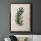 Palm Botanical II - Barnwood Framed Canvas Print