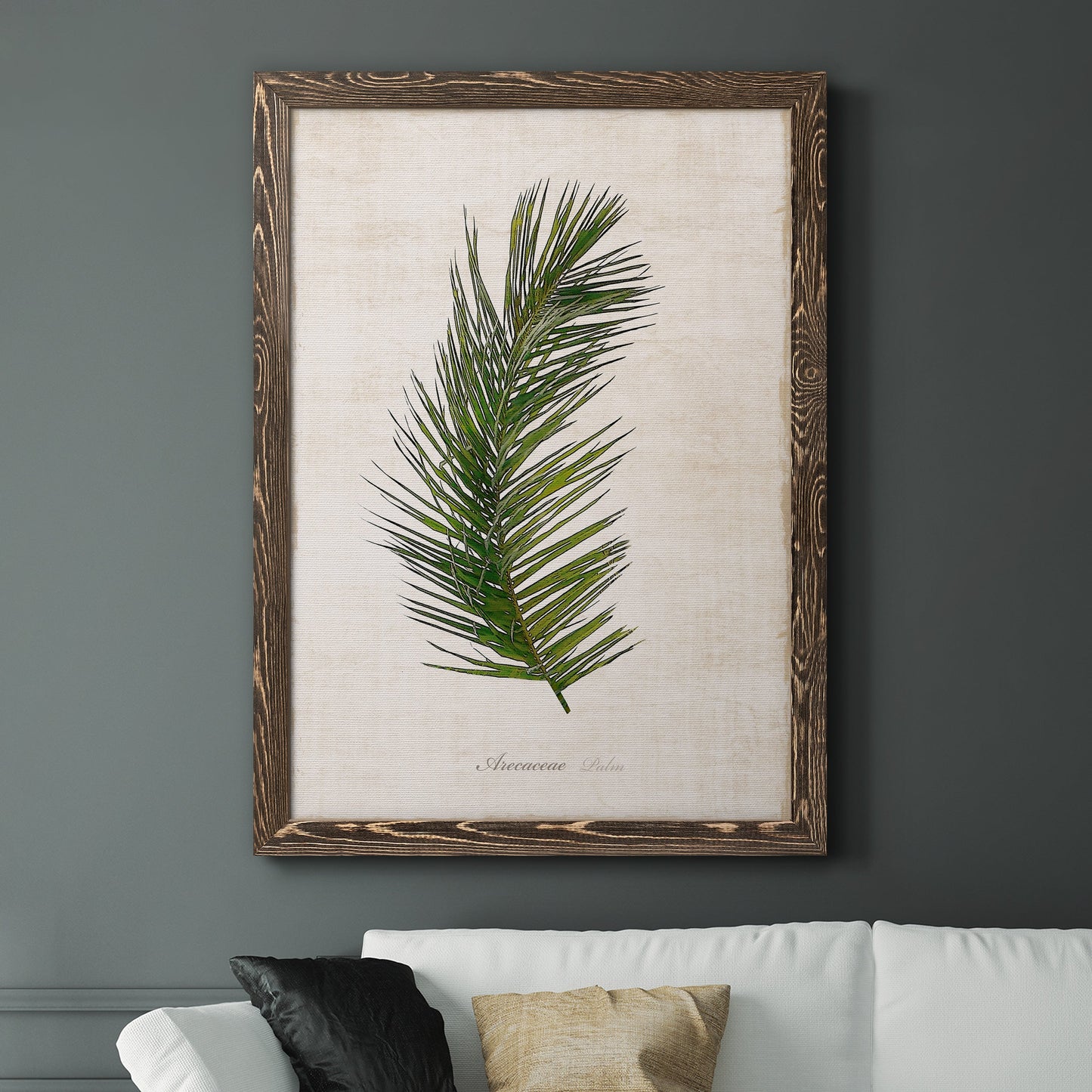 Palm Botanical II - Barnwood Framed Canvas Print