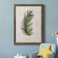 Palm Botanical II - Barnwood Framed Canvas Print