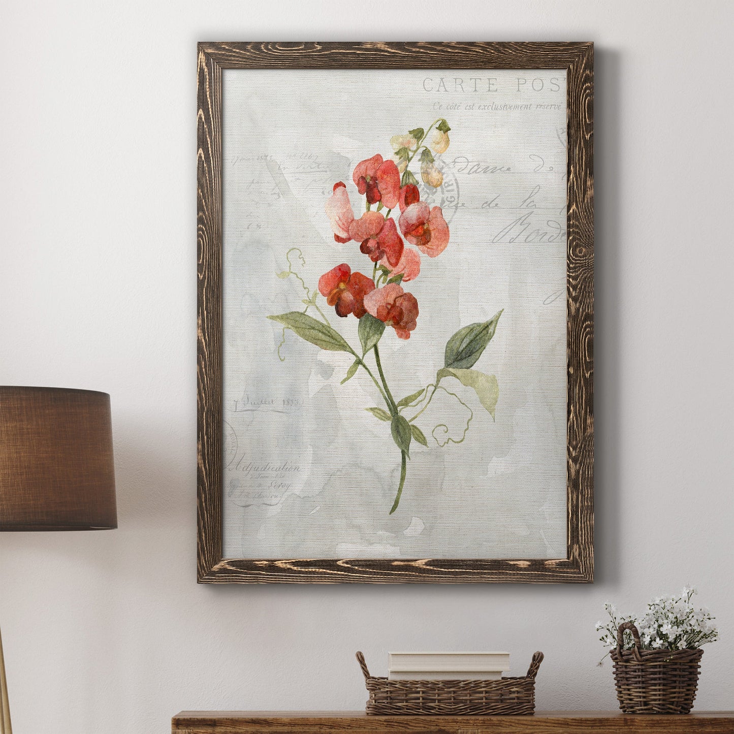 Linen Sweet Pea - Barnwood Framed Canvas Print
