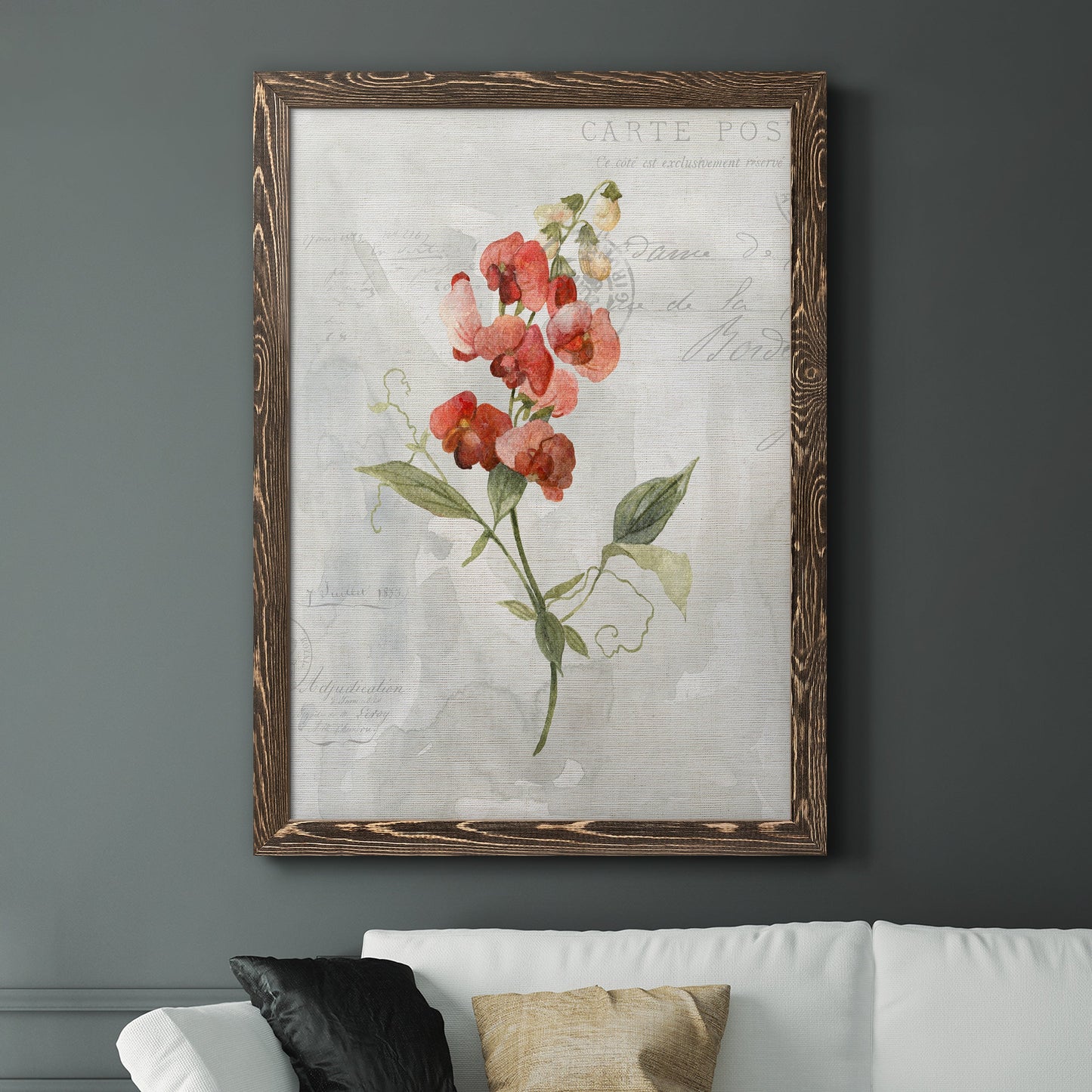 Linen Sweet Pea - Barnwood Framed Canvas Print