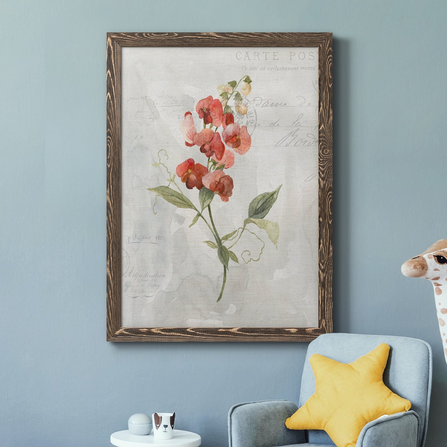 Linen Sweet Pea - Barnwood Framed Canvas Print
