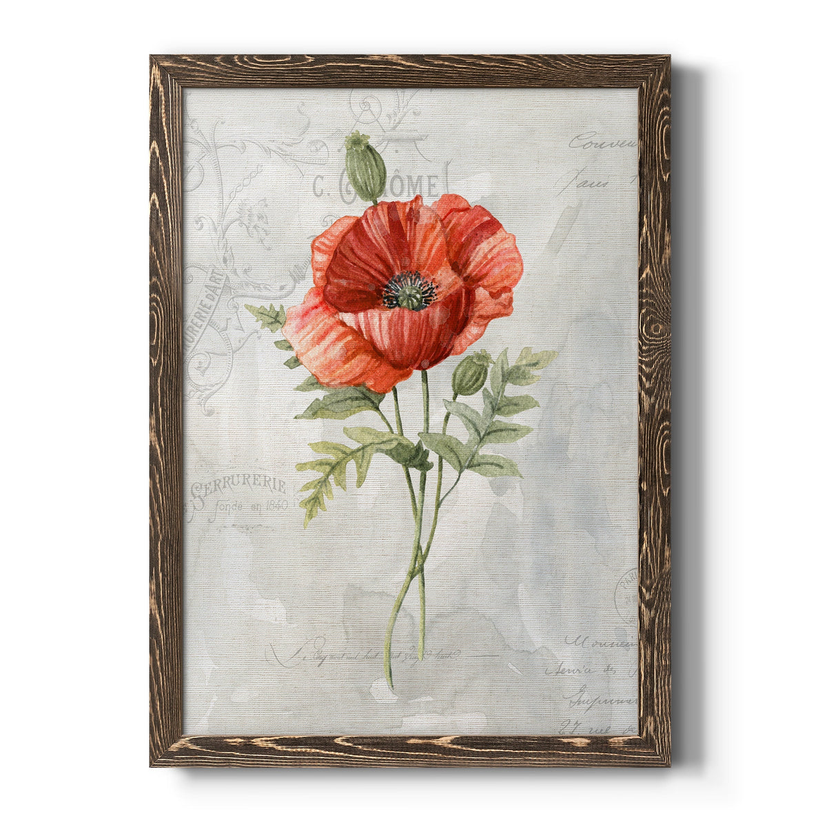 Linen Poppy - Barnwood Framed Canvas Print
