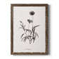 Sketchbook Imperial - Barnwood Framed Canvas Print