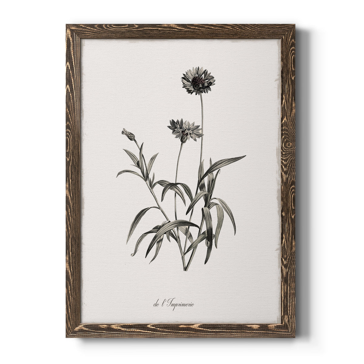 Sketchbook Imperial - Barnwood Framed Canvas Print
