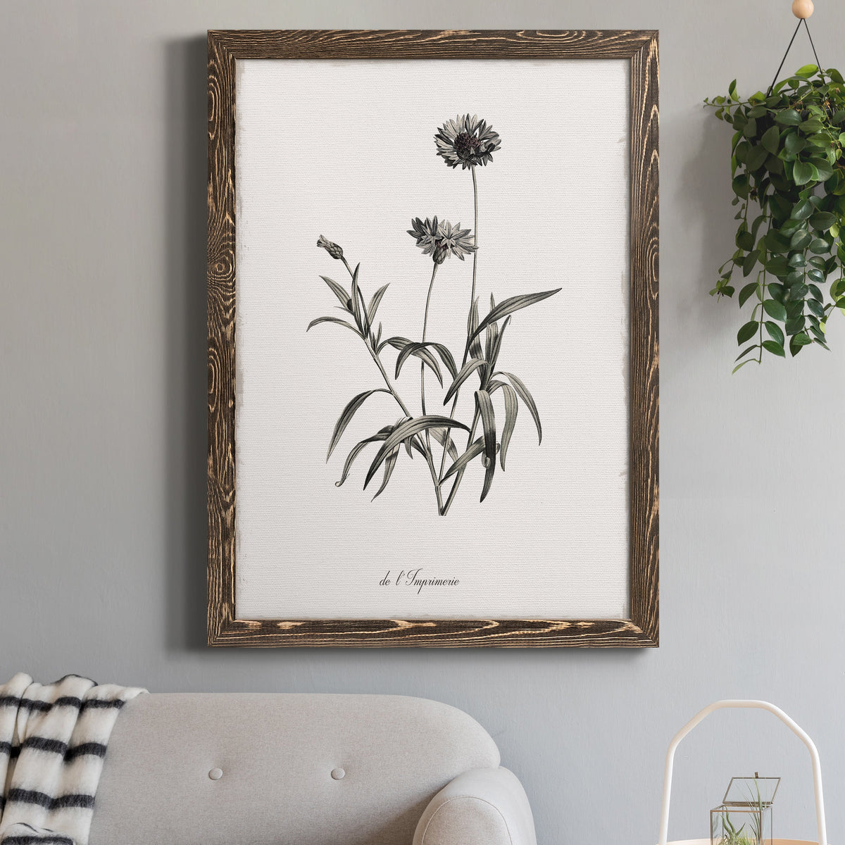 Sketchbook Imperial - Barnwood Framed Canvas Print