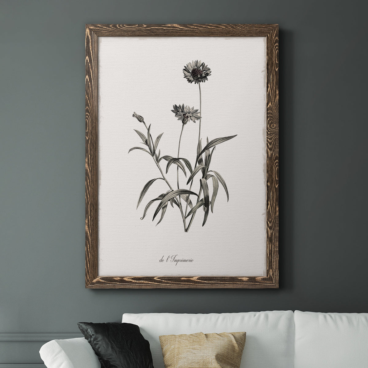 Sketchbook Imperial - Barnwood Framed Canvas Print
