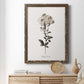 Sketchbook Leadwort - Barnwood Framed Canvas Print