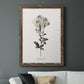 Sketchbook Leadwort - Barnwood Framed Canvas Print