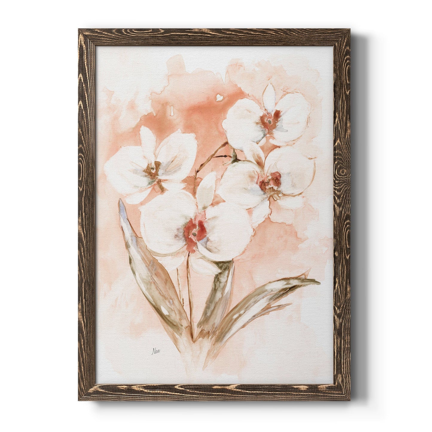 White and Coral Orchid I - Barnwood Framed Canvas Print