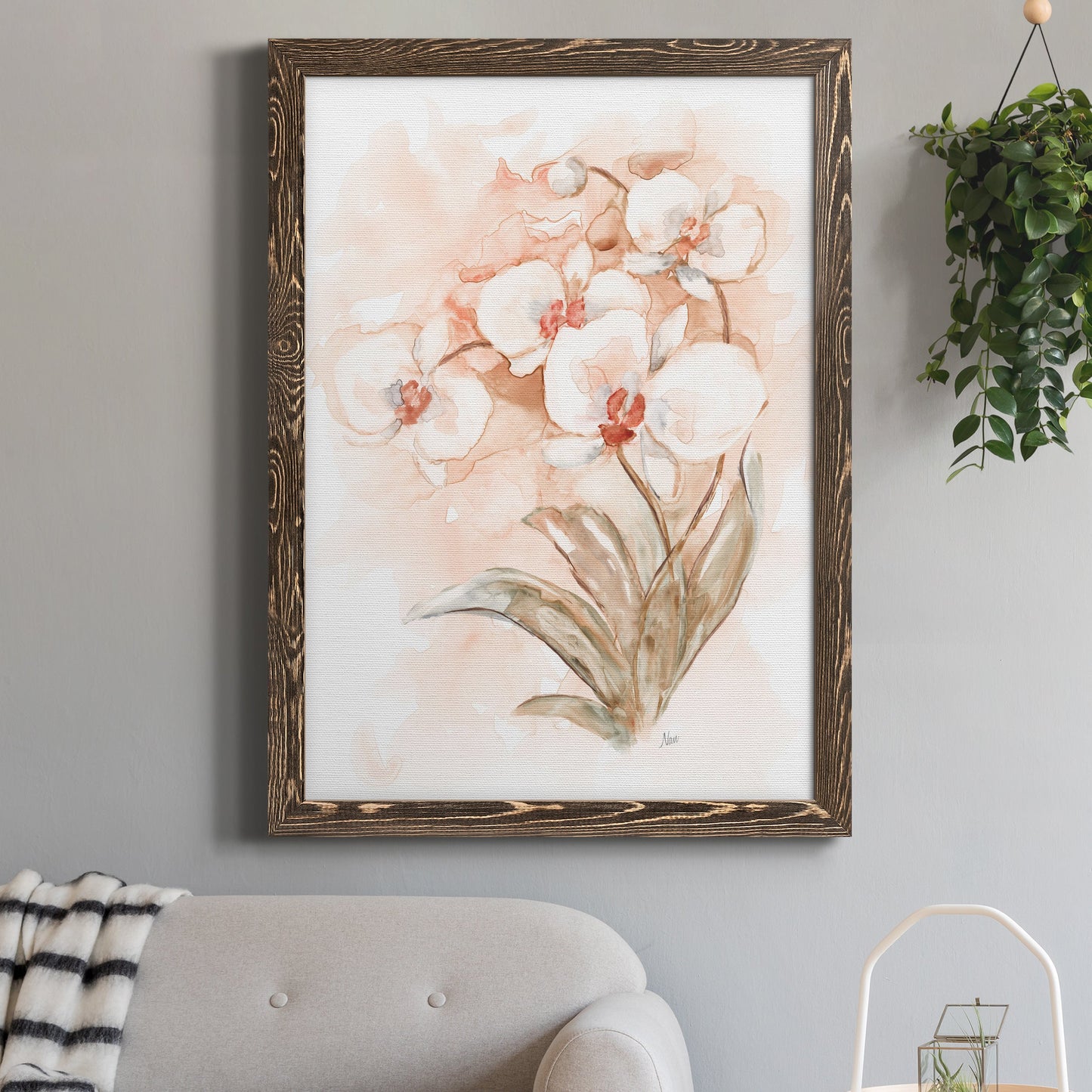White and Coral Orchid II - Barnwood Framed Canvas Print