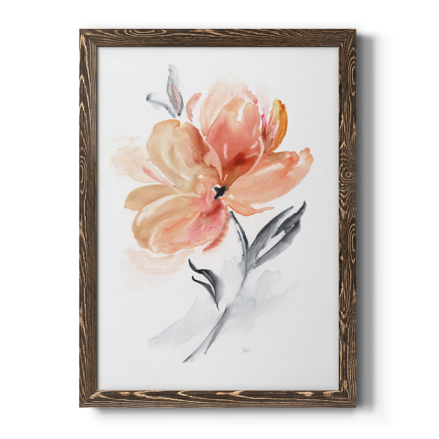 Soft Sensation II - Barnwood Framed Canvas Print