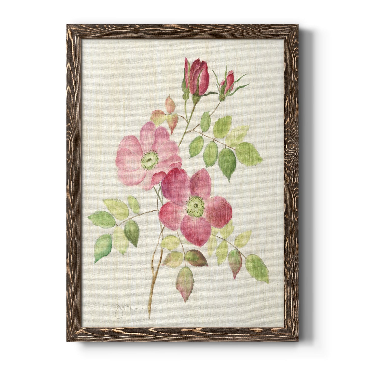 Dusty Rose I - Barnwood Framed Canvas Print